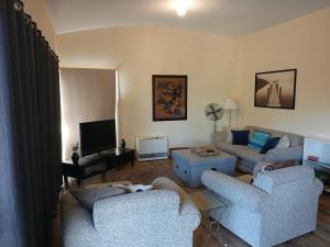 Holiday house among native trees overlooking wetlands