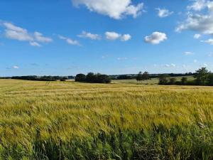 6 person holiday home in Hejls-By Traum