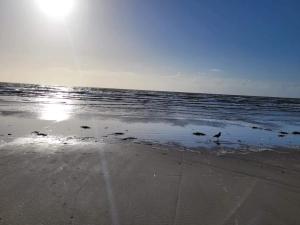 4 person holiday home in Blåvand-By Traum