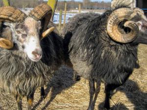 5 person holiday home in STENKYRKA