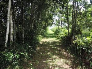 Lakeside Agritourism Retreat in Ko czewo