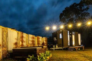 Wallaby by Tiny Away