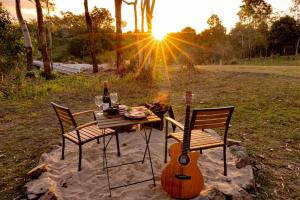 Wallaby by Tiny Away