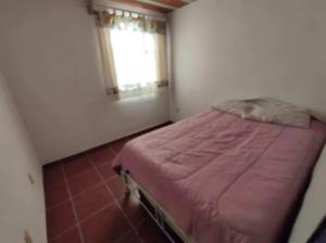 Las mejores vacaciones en Paraíso Diamante