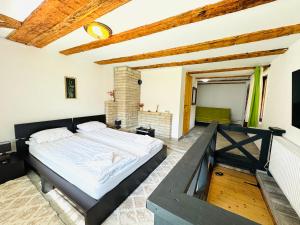 Vila Eruga- Apartament 5