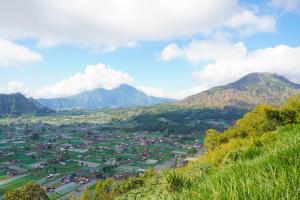 Pinggan Skyline
