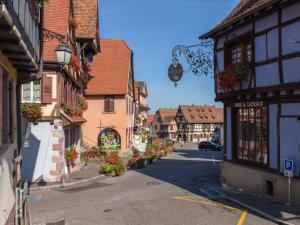 Appartements Apartment in Alsace near Haut-Koenigsbourg : photos des chambres