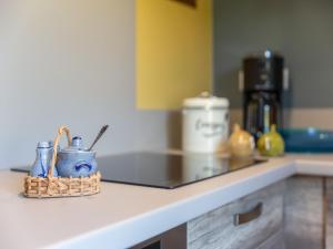 Appartements Apartment in Alsace near Haut-Koenigsbourg : photos des chambres