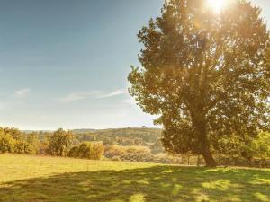 Maisons de vacances Dordogne Family Haven : photos des chambres