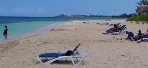 Ocean Tropical Escape 1BR 1BA Ocean view