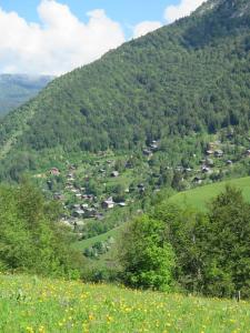 B&B / Chambres d'hotes Le Chalet Du Blanc Spa yoga : photos des chambres