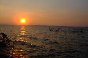 Coke Wellness Apartman