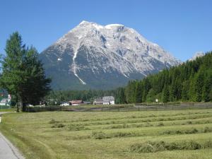 Ferienwohnungen Rauth