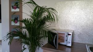 Ferienwohnung Schusi Freital