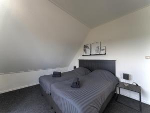 Villa in Zeewolde near Horsterwold Forest