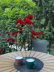 Casa Trei Brazi Bratca