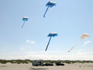 4 person holiday home in Fanø-By Traum