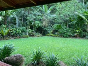 Lux rainforest lodge - 1 King, 2 Singles