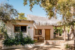 Villa Gardenia - Oceanfront Casa Arbol w Pool