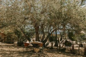 Villa Gardenia - Oceanfront Casa Arbol w Pool