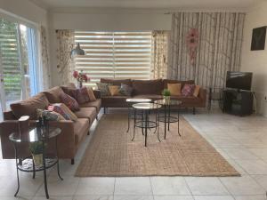 Le Beau Souvenir, Noiseux