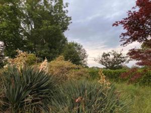 Maisons de vacances Mansion in Martigny with Heated Pool & Vineyards : photos des chambres