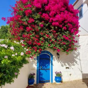 Blue House Burgau