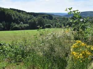 Maisons de vacances Cottage in France with Garden near Lake : photos des chambres