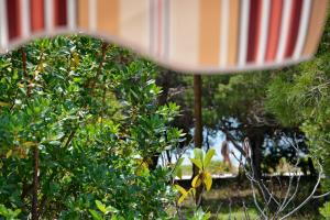 Apartman Kister