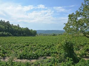 Villas Elegant Villa Near Ardeche : photos des chambres