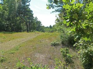 Apartment in Bergen aan Zee near the Beach