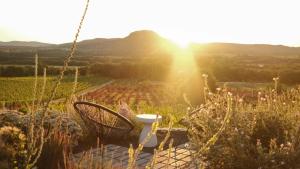 Dandelion Szőlőliget Vendégház