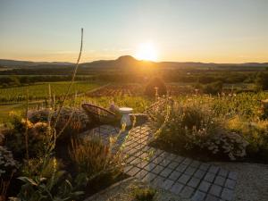 Dandelion Szőlőliget Vendégház