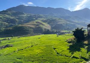 Terrace House Tả Van