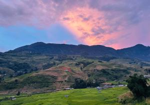 Terrace House Tả Van