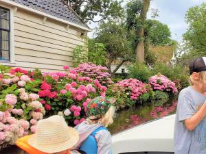 Cottage in Edam near IJsselmeer Lake