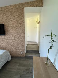 Appartements Studio meuble marne la vallee / Disneyland : photos des chambres