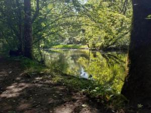 Maisons de vacances Tranquil Escape in Loubejac : photos des chambres