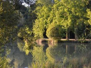 Maisons de vacances Tranquil Escape in Loubejac : photos des chambres