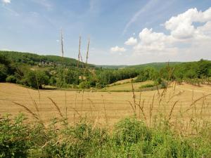 Maisons de vacances Holiday Home in Cressensac with Pool : photos des chambres