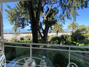 Appartements Appartement sur la Plage, Le Royal Beach : photos des chambres