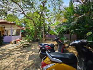 Havelock Harmony- Havelock Island