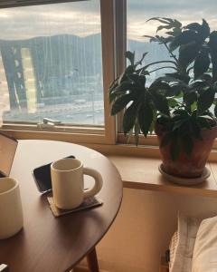 Mother of pearl Stay