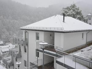 Apartment in Willingen mit Balkon