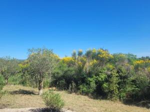 Maisons de vacances Holiday Home in Felines-Minervois with Pool : photos des chambres