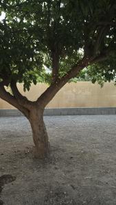 Casona Los Sidoros Ciudad de Berja