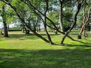 Maisons de vacances Holiday Home in Chantenay with Private Pool : photos des chambres