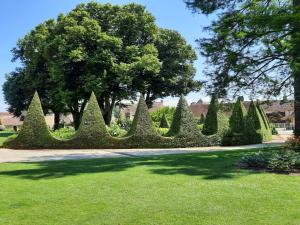 Maisons de vacances Holiday Home in Chantenay with Private Pool : Maison de Vacances 3 Chambres 