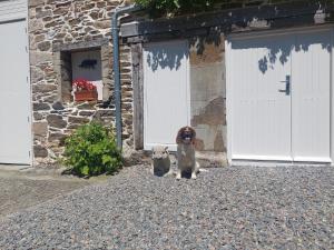 Maisons de vacances Holiday Home in Limoges with Saltwater Pool : photos des chambres