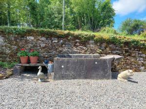 Maisons de vacances Holiday Home in Limoges with Saltwater Pool : photos des chambres